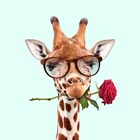 liefdeskaart grappig Giraffe met roos